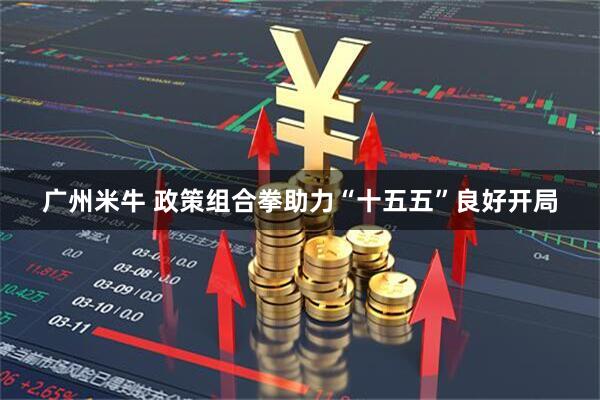 广州米牛 政策组合拳助力“十五五”良好开局